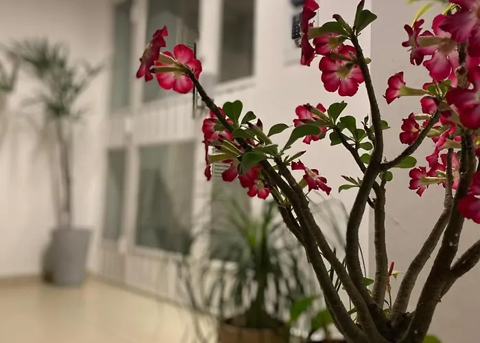 Garden Moinhos De Vento Apartamento *